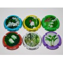 SERIE DE 6 CAPSULES DE CHAMPAGNE - BOLAND NOMINE  (Muguet)