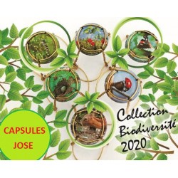 SERIE DE 6 CAPSULES DE CHAMPAGNE - GENERIQUE (Biodiversité - Nov 2020)