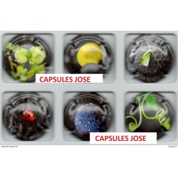 N°109 - SERIE DE 6 CAPSULES DE CHAMPAGNE - GENERIQUE (Nature - septembre 2020)