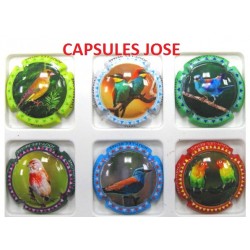 Série de 6 Capsules de champagne TUAL  (les Oiseaux)