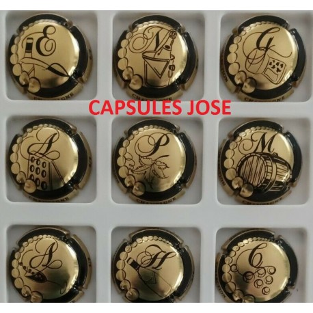 Série de 9 capsules de champagne - GENERIQUE (Puzzle Champagne)