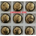 Série de 9 capsules de champagne - GENERIQUE (Puzzle Champagne)