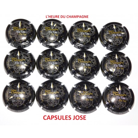 Série Complète de 12 Capsules de champagne Générique (P'tit Cap's)