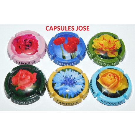 SERIE DE 6 CAPSULES DE CHAMPAGNE - LAPOULE et FILS