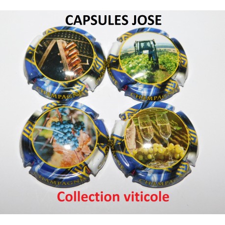 Série de 4 Capsules de champagne GENERIQUE  (Viticole)