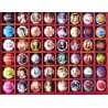 LOT DE 48 CAPSULES DE CHAMPAGNE DE VIGNERONS (7)