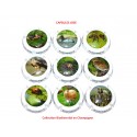 N°1318 - Série de 9 capsules de champagne - GENERIQUE (Biodiversité en Champagne)