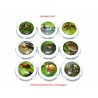 N°1318 - Série de 9 capsules de champagne - GENERIQUE (Biodiversité en Champagne)