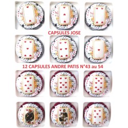 Série de 12 Capsules de champagne André Patis N°43 au 54 (Les Cartes du Tarot)