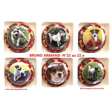 SERIE DE 6 CAPSULES DE CHAMPAGNE - BRUNO ARMAND 300 Exemplaires -N°22 au 22.e
