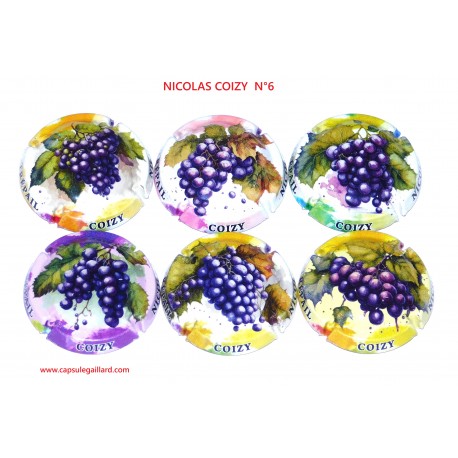 Série de 6 Capsules de champagne - NICOLAS COIZY - N°6