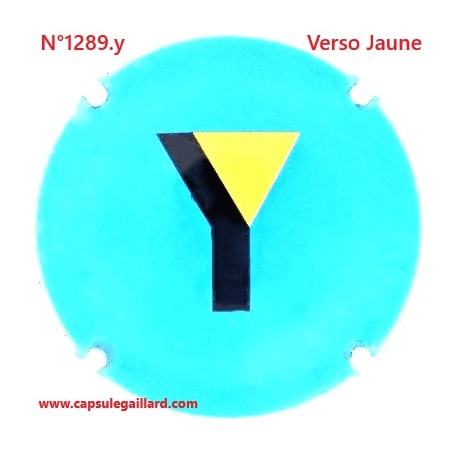 N°1289.y- Capsule de champagne - GENERIQUE - Verso Jaune