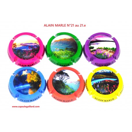 Série de 6 Capsules de champagne - ALAIN MARLE N°21 au 21.e