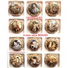 Série de 12 Capsules de champagne - GENERIQUES (6 ème série Renoir)