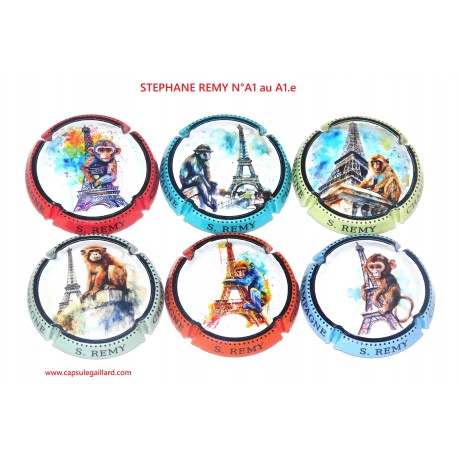 Série de 6 Capsules de champagne - STEPHANE REMY N°A1