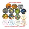 15 Capsules de champagne - GENERIQUES "La Vigne et Empreintes"