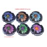* SERIE DE 6 CAPSULES DE CHAMPAGNE -CAROLE NOIZET N°8 au 8.e