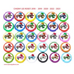 LOT DE 30 CAPSULES DE CHAMPAGNE - CHIGNY LES ROSES