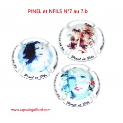 Série de 3 Capsules de champagne - PINEL et FILS N°7 au 7.b
