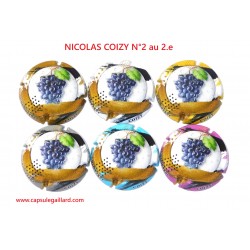 SERIE DE 6 CAPSULES DE CHAMPAGNE - NICOLAS COIZY N°2 au 2.e