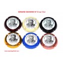 SERIE DE 6 CAPSULES DE CHAMPAGNE - GERARD DAVESNE N°12 au 12.e