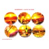 SERIE DE 6 CAPSULES DE CHAMPAGNE - GENERIQUE  (Coucher de Soleil)