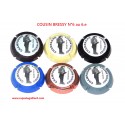 SERIE DE 6 CAPSULES DE CHAMPAGNE - COUSIN BRESSY  N°6 au 6.e