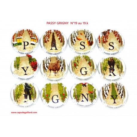 SERIE DE 12 CAPSULES DE CHAMPAGNE - PASSY GRIGNY N°19 au 19.k