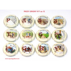 série de 12 capsules de champagne PASSY GRIGNY N°1 au 12