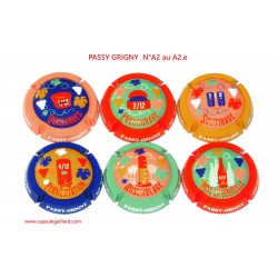 Série de 6 Capsules de champagne PASSY GRIGNY  N°A2 au A2.e