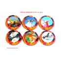 SERIE DE 6 CAPSULES DE CHAMPAGNE - PASCAL MANCHIN N°13.r au 13.w