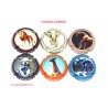 NEWS - SERIE DE 6 CAPSULES DE CHAMPAGNE - CHARLES GERARD