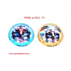 2 CAPSULES DE CHAMPAGNE - PINEL et FILS - F1