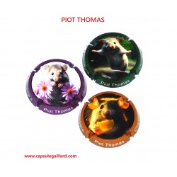 SERIE DE 3 CAPSULES DE CHAMPAGNE - THOMAS PIOT