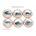 NEWS - SERIE DE 6 CAPSULES DE CHAMPAGNE - ARMAND BLIN N°14