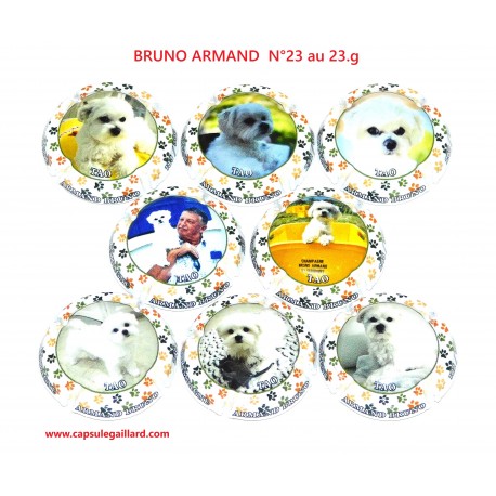 SERIE DE 8 CAPSULES DE CHAMPAGNE - BRUNO ARMAND N°23