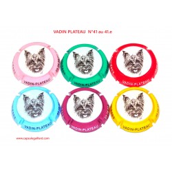 SERIE DE 6 CAPSULES DE CHAMPAGNE - VADIN PLATEAU N°41 au 41.e