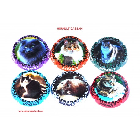 SERIE DE 6 CAPSULES DE CHAMPAGNE - HIRAULT CASSAN