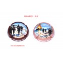 2 CAPSULES DE CHAMPAGNE - CHAMPION OUY