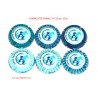 SERIE DE 6 CAPSULES DE CHAMPAGNE  - CHARLOTTE FRANC N°10 au 10.e