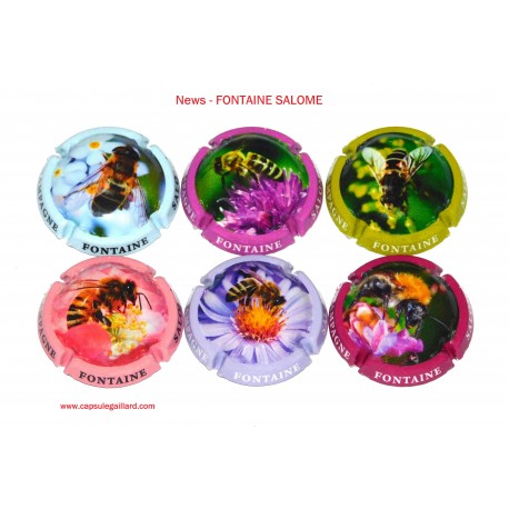 News - Série de 6 Capsules de Champagne FONTAINE SALOME