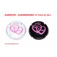 2 CAPSULES DE CHAMPAGNE - ALBRECHT CHARDONNIER N°14.b et 14.c