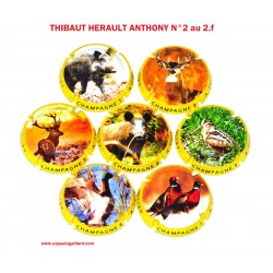 SERIE DE 7 CAPSULES DE CHAMPAGNE - ANTHONY THIBAUT HERAULT N°2