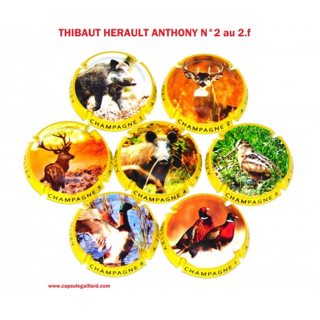 SERIE DE 7 CAPSULES DE CHAMPAGNE - ANTHONY THIBAUT HERAULT N°2