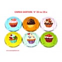 SERIE DE 6 CAPSULES DE CHAMPAGNE - CAMUS SARTORE N°39