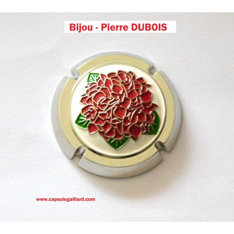 BIJOU - PIERRE DUBOIS  N°A4