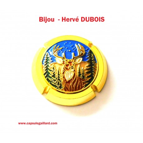 BIJOU -  HERVE DUBOIS N°35.a