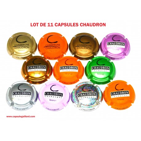 LOT DE 11 CAPSULES DE CHAMPAGNE - CHAUDRON