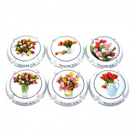 SERIE DE 6 CAPSULES DE CHAMPAGNE - COLLON