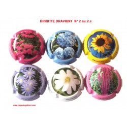 SERIE DE 6 CAPSULES DE CHAMPAGNE - BRIGITTE DRAVIGNY
